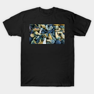 Pumpkins T-Shirt